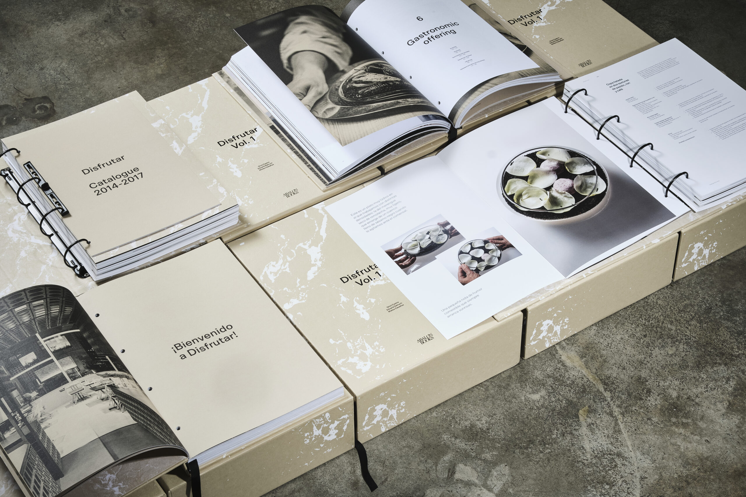Disfrutar Vol. 1 English edition - Imagen 3